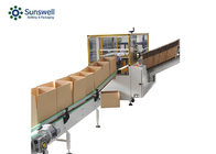 Automatic Drop Down Carton Case Packer 30packs/Min Wrapping Machine